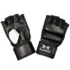 Hammer Boxhandschuhe "Premium" 1 Hammer Boxhandschuhe "Premium" -Fitnessserien Geschäft 149 9979