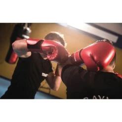 Sport-Thieme Boxhandschuhe "Knock-Out" 10 Sport-Thieme Boxhandschuhe "Knock-Out" -Fitnessserien Geschäft 150 4037 1 1