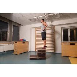 Sport-Thieme Plyobox "Kombi" 21 Sport-Thieme Plyobox "Kombi" -Fitnessserien Geschäft 161 0518 7