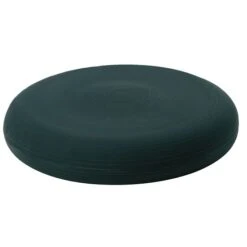 Togu Dynair Ballkissen "XXL" 17 Togu Dynair Ballkissen "XXL" -Fitnessserien Geschäft 203 1910 2