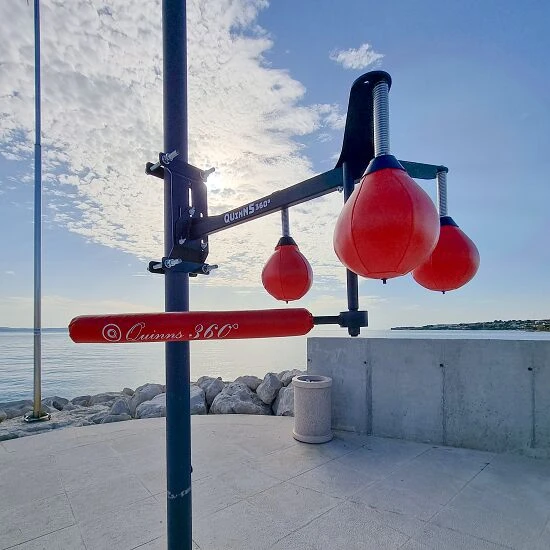 Quinns Boxtrainer "360°" 4 Quinns Boxtrainer "360°" – Bild 2